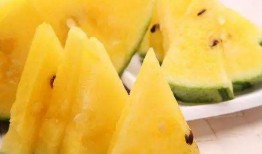 免费吃的瓜最新